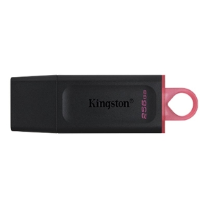 KINGSTON, Memoria USB de 256gb, DataTraveler Exodia, USB 3.2", DTX/256GB, Negra - 740617310023